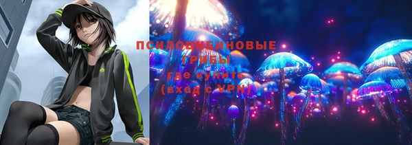гидропоника Аркадак