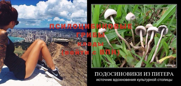 гидропоника Аркадак
