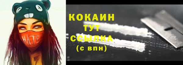 мяу мяу кристалл Арсеньев