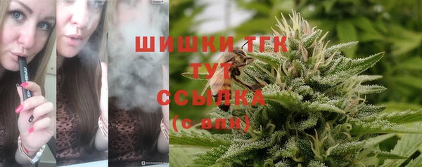 гидропоника Аркадак