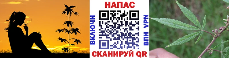 Бошки Шишки THC 21% Сорск